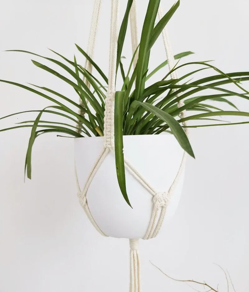 Handmade Macrame Plant Hanger - 21 Styles