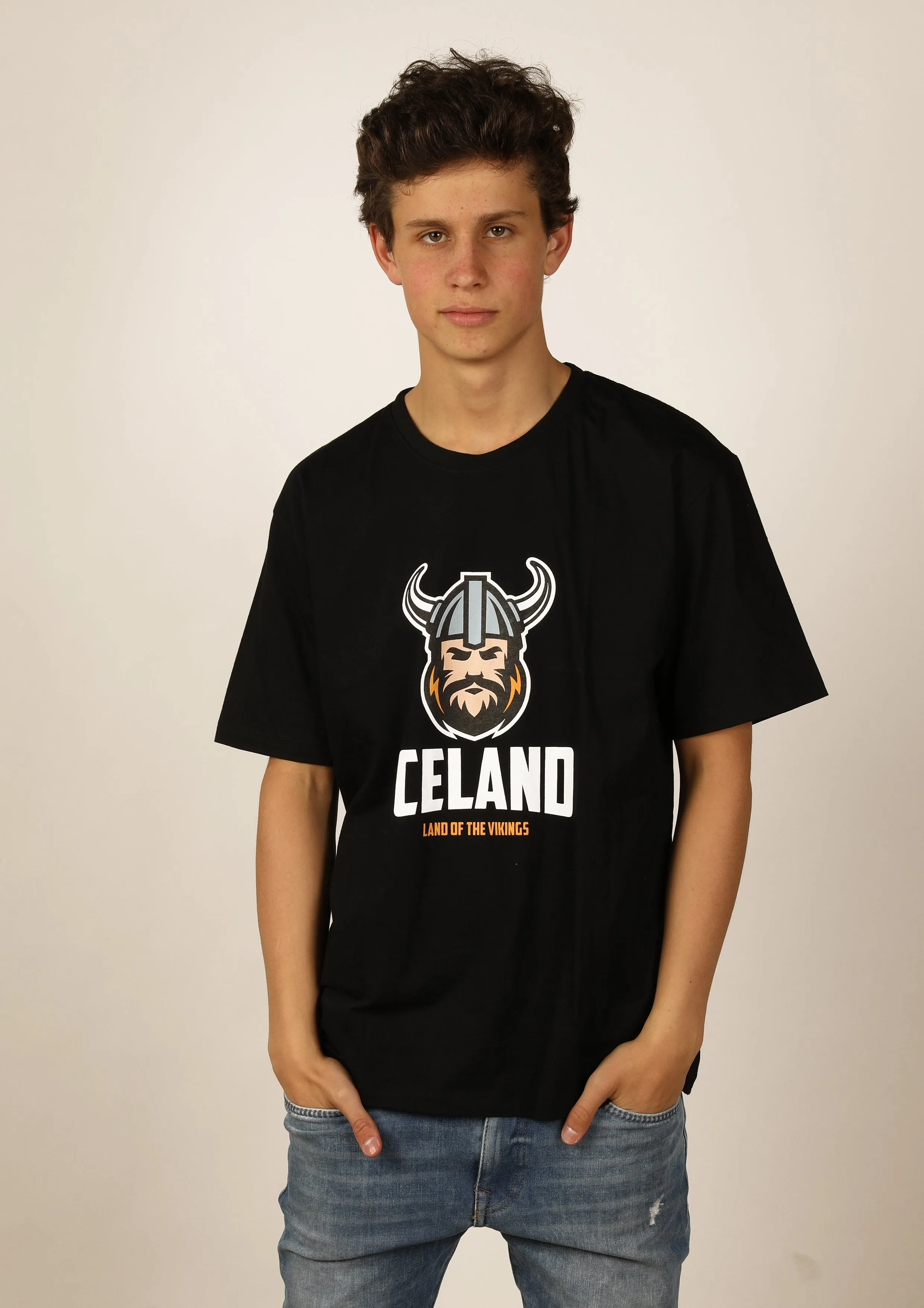 Men's Iceland T-shirt Viking Men