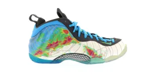 Nike Air Foamposite One Weatherman